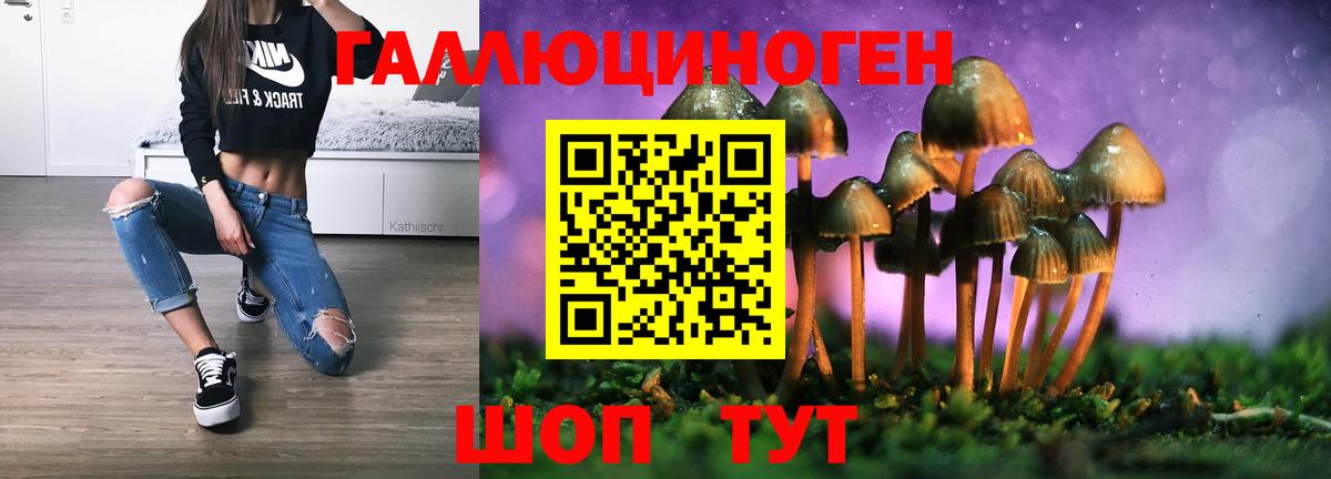 Крымск  как найти закладки  Вход с VPN  Галлюциногенные грибы GOLDEN TEACHER  Галлюциногенные грибы мицелий 