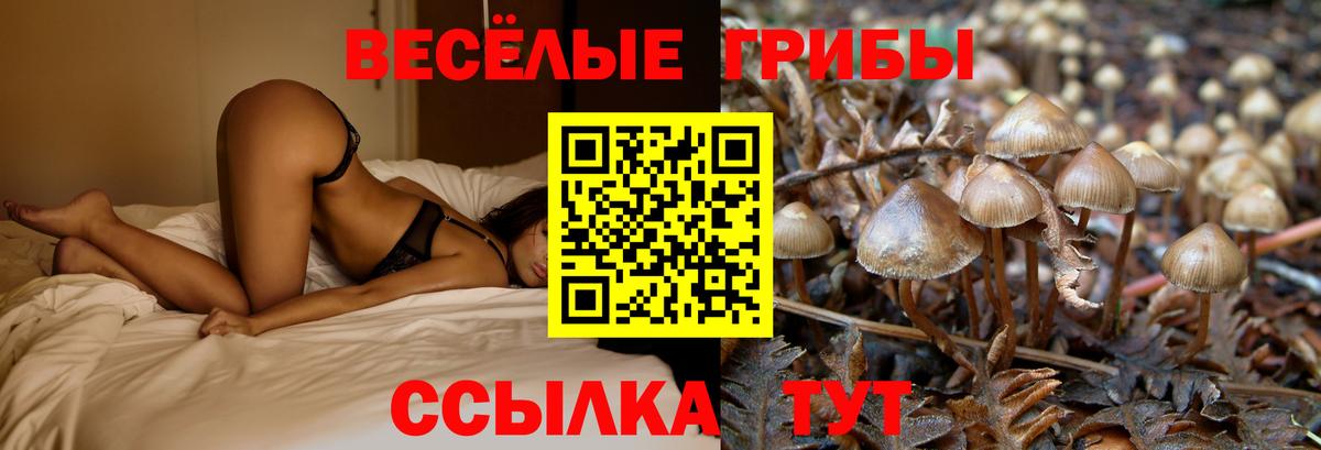 Псилоцибиновые грибы Magic Shrooms Крымск